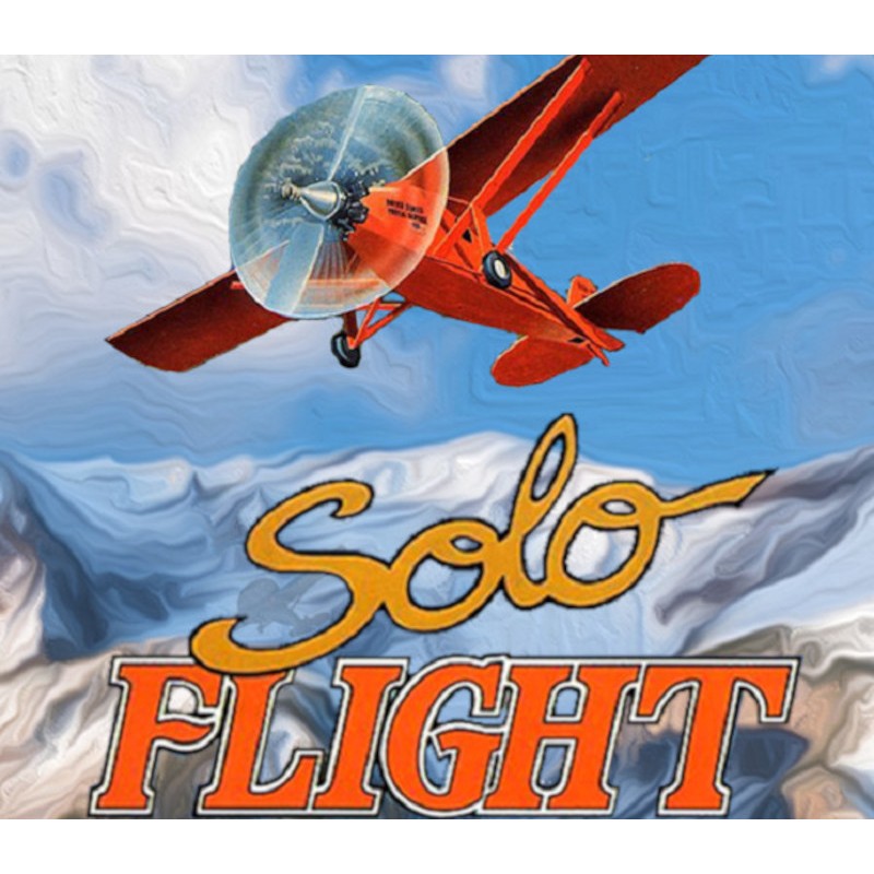 Solo Flight PC GOG Kod Klucz
