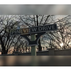 Pineview Drive   PC Steam Kod Klucz
