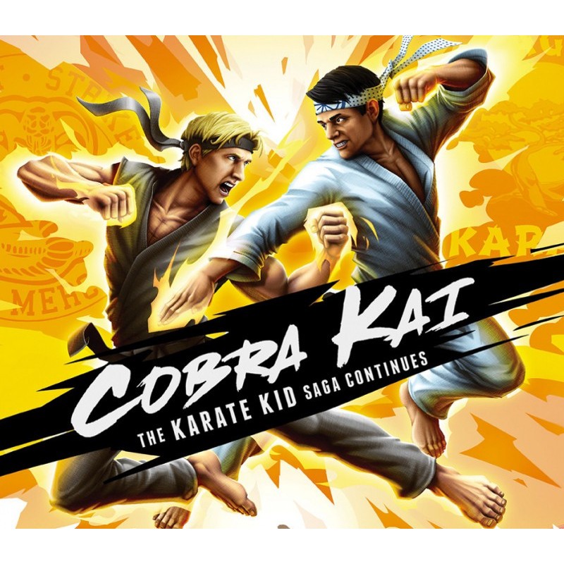Cobra Kai  The Karate Kid Saga Continues   Nintendo Switch Kod Klucz