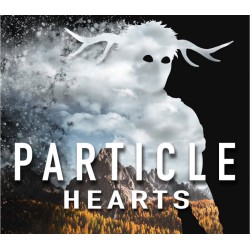 Particle Hearts PC Steam Kod Klucz
