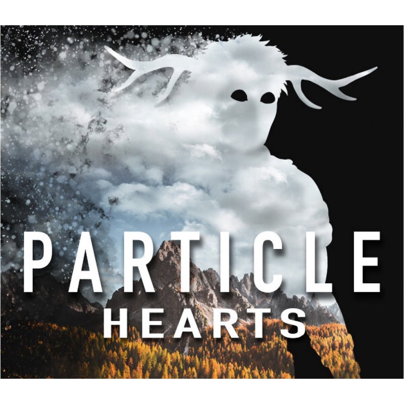 Particle Hearts PC Steam Kod Klucz