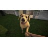 Pets Hotel   PS5 Kod Klucz