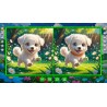 Mirror Quest Dog and Cat PC Steam Kod Klucz