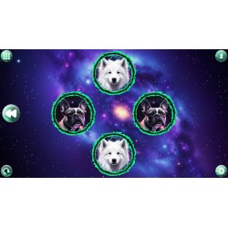 Space Memory  Dogs PC Steam Kod Klucz