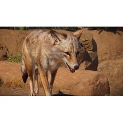 Planet Zoo   Americas Animal Pack DLC   PC Steam Kod Klucz