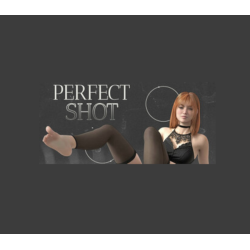 Perfect Shot PC Steam Kod Klucz