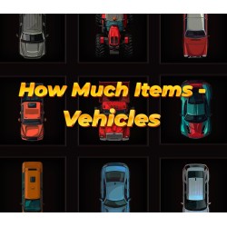 How Much Items  Vehicles PC Steam Kod Klucz
