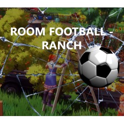 ROOM FOOTBALL  Ranch PC Steam Kod Klucz