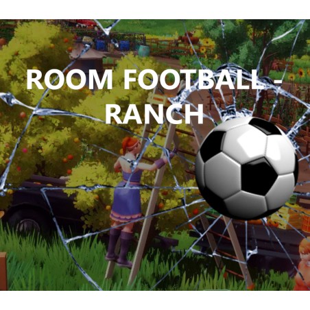 ROOM FOOTBALL  Ranch PC Steam Kod Klucz