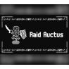 Raid Auctus PC Steam Kod Klucz