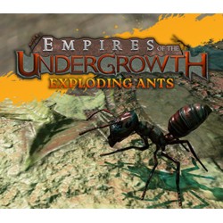 Empires of the Undergrowth   Exploding Ants DLC PC Steam Kod Klucz