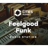 Cities  Skylines II   Feelgood Funk Radio DLC PC Steam Kod Klucz