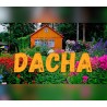 DACHA PC Steam Kod Klucz