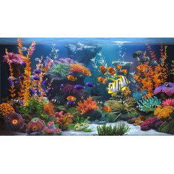 Zen Aquarium PC Steam Kod Klucz