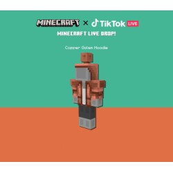 Minecraft Java and Bedrock Edition    Copper Core Twitch Skin DLC PC Kod Klucz
