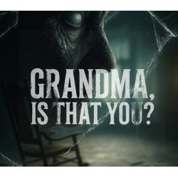 Grandma, Is That You? PC Steam Kod Klucz