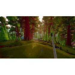 Oxygen Train PC Steam Kod Klucz