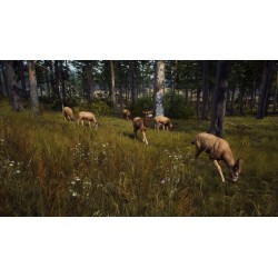 Way of the Hunter Ultimate Edition US Xbox Series X|S Kod Klucz