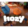 Hozy PC Steam Kod Klucz