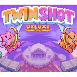 Twin Shot Deluxe PC Steam Kod Klucz
