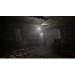 The Door in the Basement PC Steam Kod Klucz