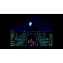 Castlevania Anniversary Collection   PC Steam Kod Klucz