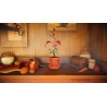 Botany Manor XBOX One / Xbox Series X|S / PC Kod Klucz