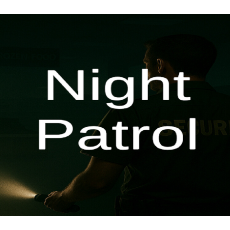 Night Patrol PC Steam Kod Klucz